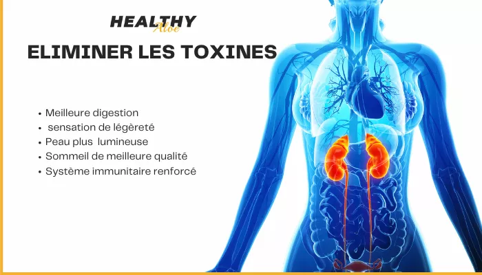 Pour éliminer Les Toxines 
