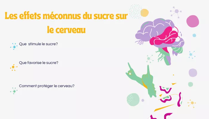 Les Effets Méconnus Du Sucre Sur Le Cerveau